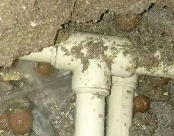 田林测漏水多少钱