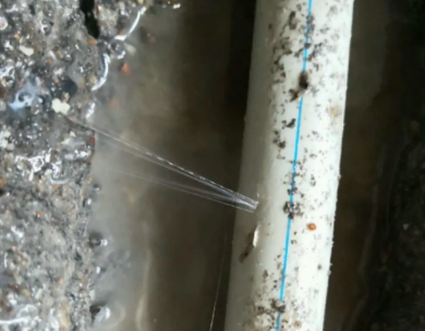 田林测漏水哪家好