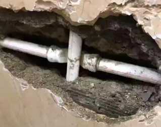 田林测漏水哪家好