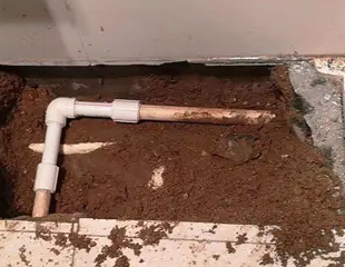 田林测漏水哪家好