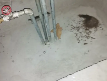 田林卫生间测漏水价格明细