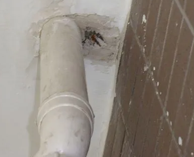 田林漏水检测哪家好